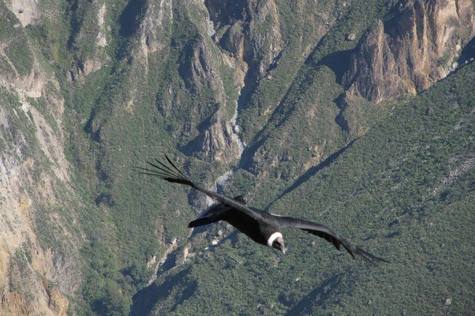 3days-colca-canyon-trek-3d-2n