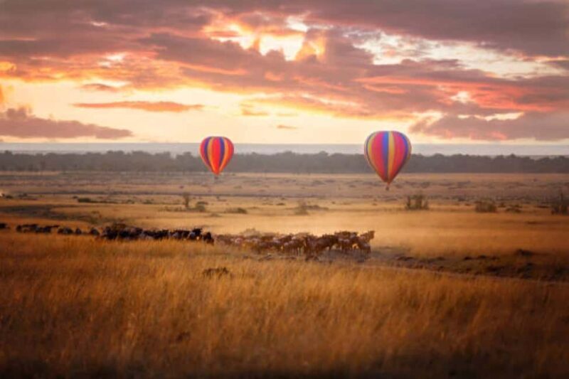 3Days Group Joining Safari to Maasai Mara from Nairobi - Key Points