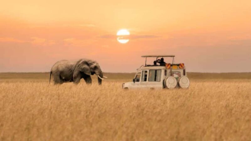 3Days Group Joining Safari to Maasai Mara from Nairobi - Overview of the Safari Experience
