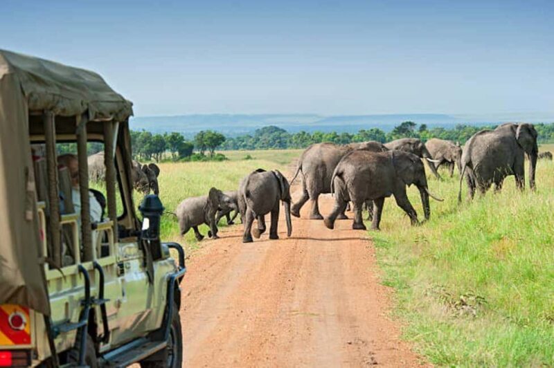 3Days Group Joining Safari to Maasai Mara from Nairobi - Authentic Experiences and Traveler Insights
