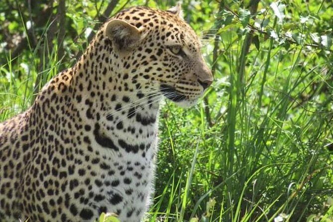 3days masai mara best of lodge safari - FAQ