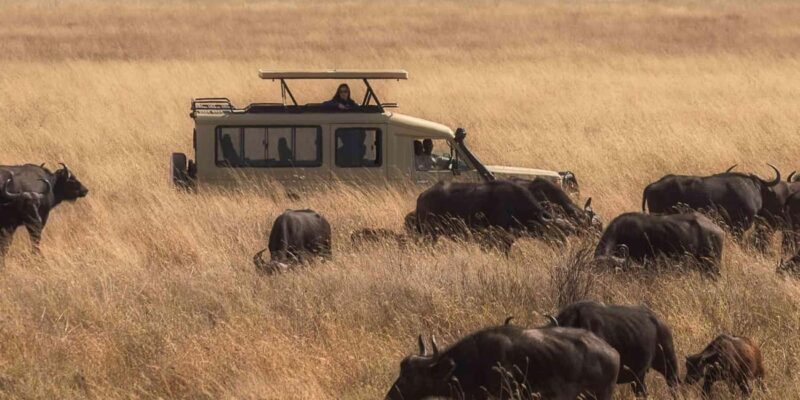 3Days Masai Mara Camping Safari with a 4x4 Land Cruiser Jeep - FAQ