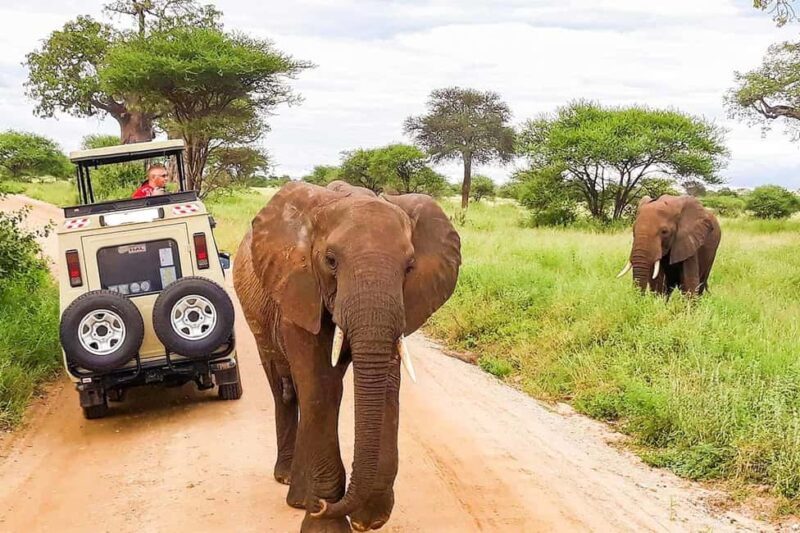 3Days Masai Mara Group Joining Camping with Daily Departures - Why This Tour Could Be Perfect for You