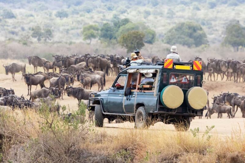 3Days Masai Mara & Naivasha Boat ride Group Joining Camping - The Itinerary in Detail