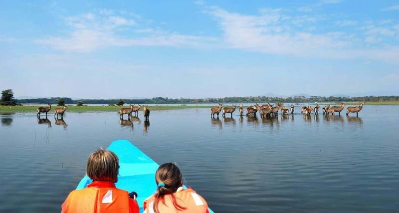 3Days Masai Mara & Naivasha Boat ride Group Joining Camping - The Value of Guided Wildlife Viewing