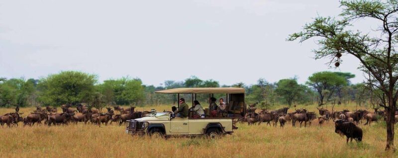 3Days Masai Mara & Naivasha Boat ride Group Joining Camping - The Camping Experience — Authentic and Social
