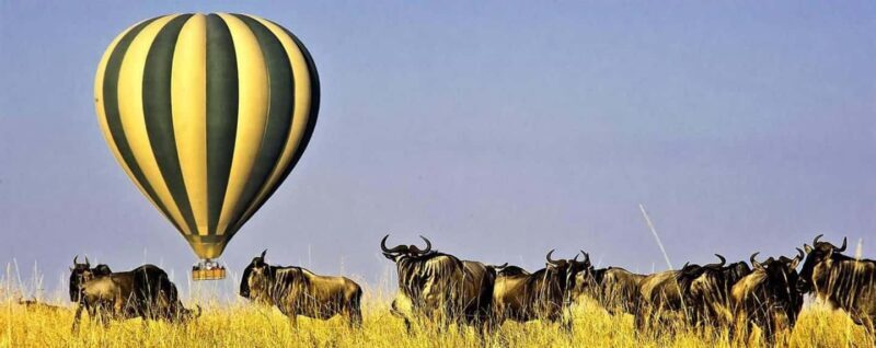 3Days Masai Mara Safari with Hot Air Balloon Ride Experience - A Closer Look at the 3-Day Masai Mara Safari with Hot Air Balloon Ride