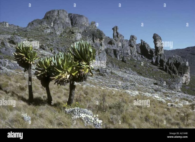 3Days Mountain Elgon Trek in Uganda - Practical Considerations and Tips
