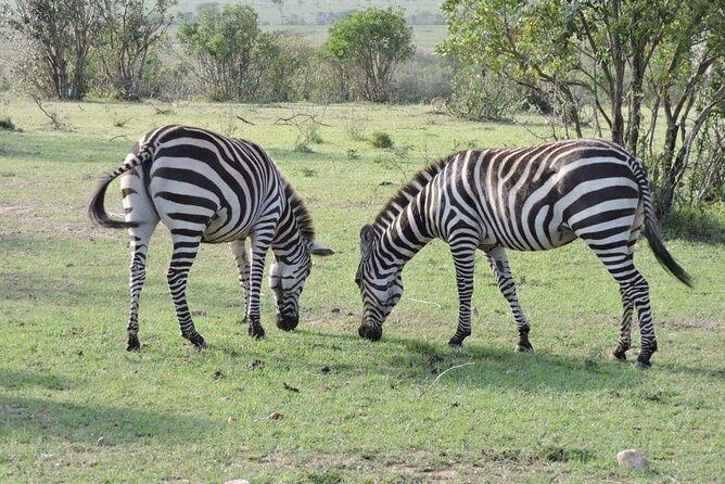 3day's Safari - Key Points  