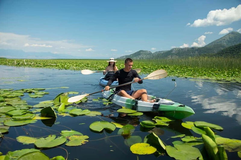 3h Guided Kayaking Adventure on Skadar Lake to hidden spots! - The Beauty of Skadar Lake: What to Expect