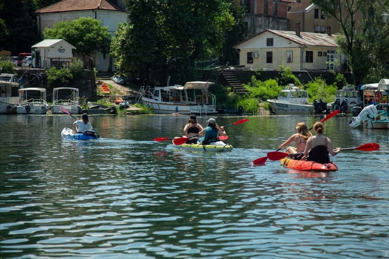 3h Guided Kayaking Adventure on Skadar Lake to hidden spots! - Visiting Lesendro Fortress