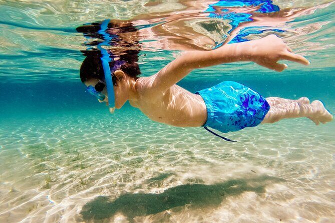 3h Private Cruise + Drinks, Snorkel & Paddle - Key Points