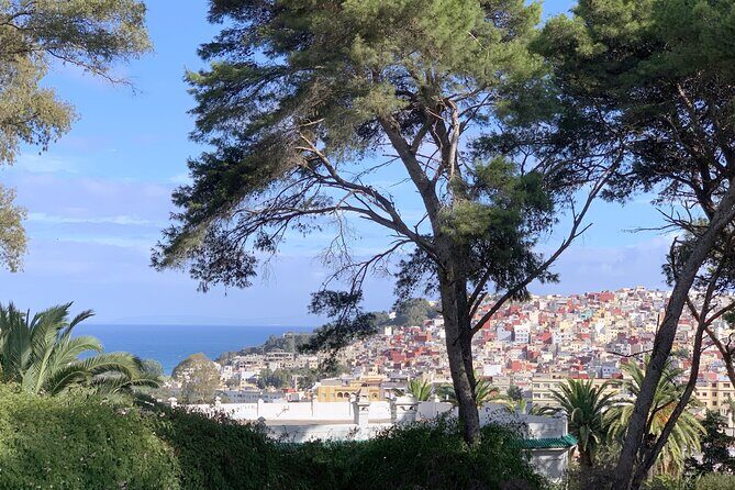 3h Private Walking Tour in Tangier Kasbah Medina & Colorful Souks - An Authentic Introduction to Tangier