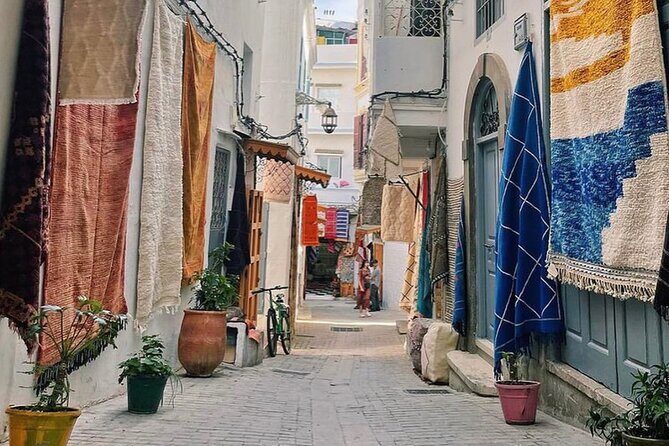 3h Private Walking Tour in Tangier Kasbah Medina & Colorful Souks - Deep Dive into the Itinerary  