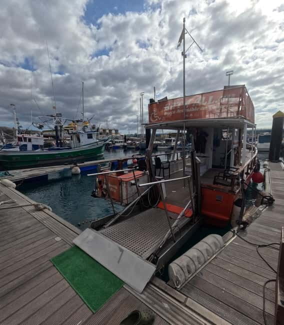 3H Shared Barrier-Free Cruise with Turtles Dolphins & Whales - Key Points