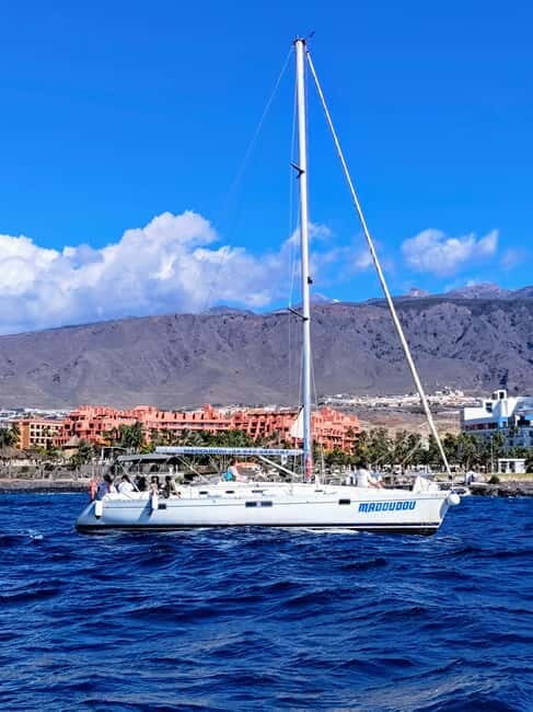 3h Whale Watching Private tour Beneteau Oceanis 440 - The Itinerary: What You’ll Experience