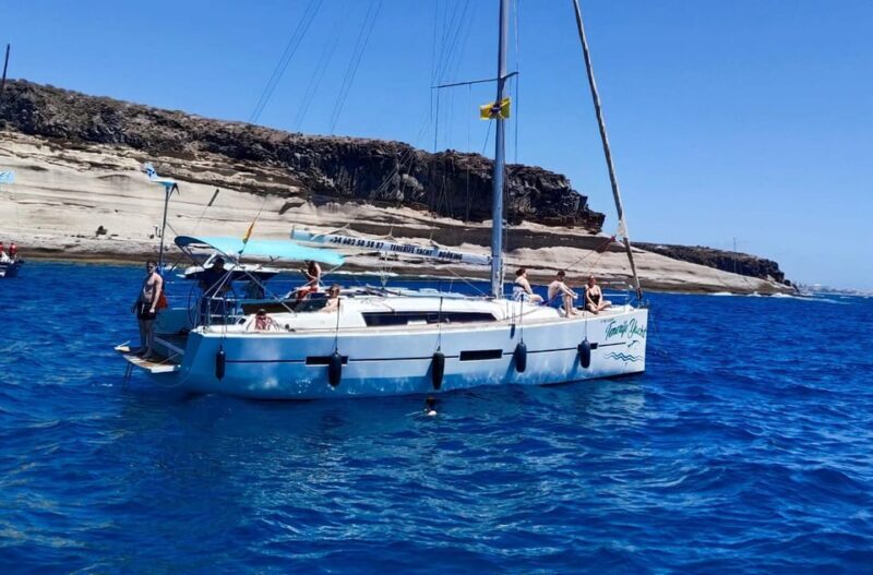 3h Whale Watching Private Tour Costa Adeje Lina7 Mizendoha - Who Would Enjoy This Tour?