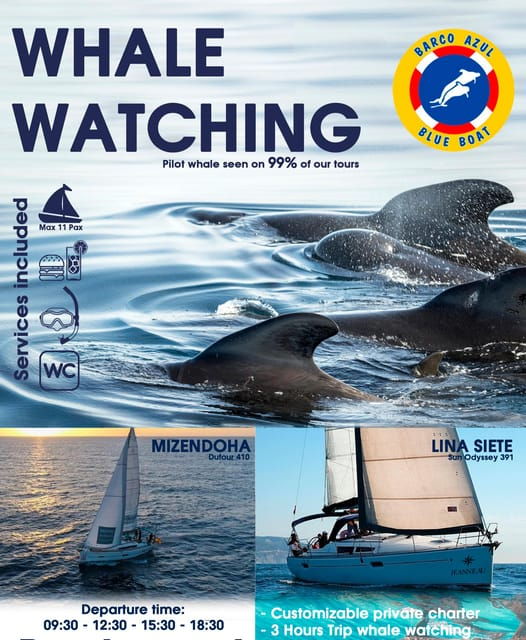 3h-whale-watching-private-tour-costa-adeje-lina7-mizendoha