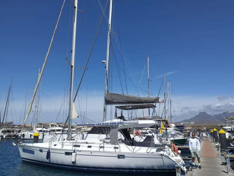 3h Whale Watching Share Tour Beneteau Oceanis 440 - Who Would Love This Tour?