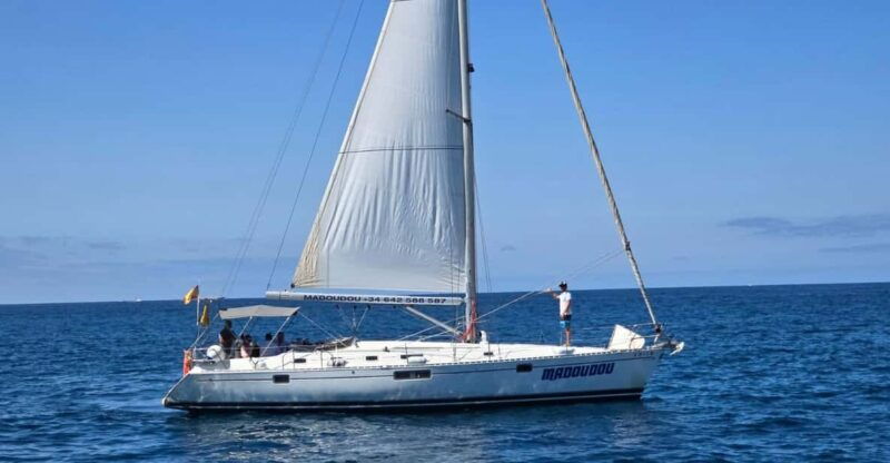 3h-whale-watching-share-tour-beneteau-oceanis-440