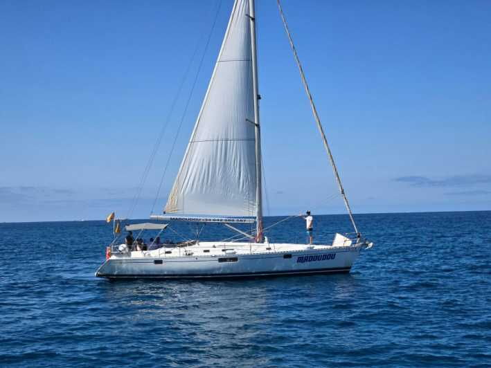 3h-whale-watching-share-tour-beneteau-oceanis-440