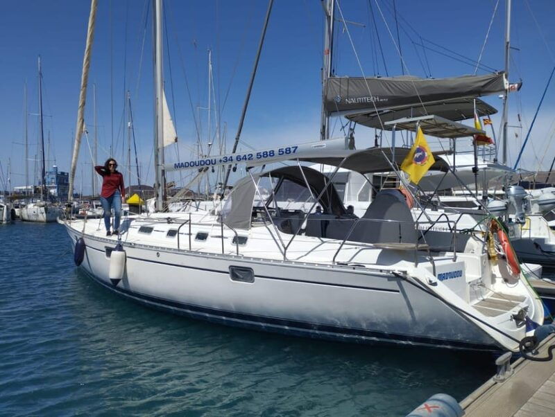 3h-whale-watching-share-tour-beneteau-oceanis-440