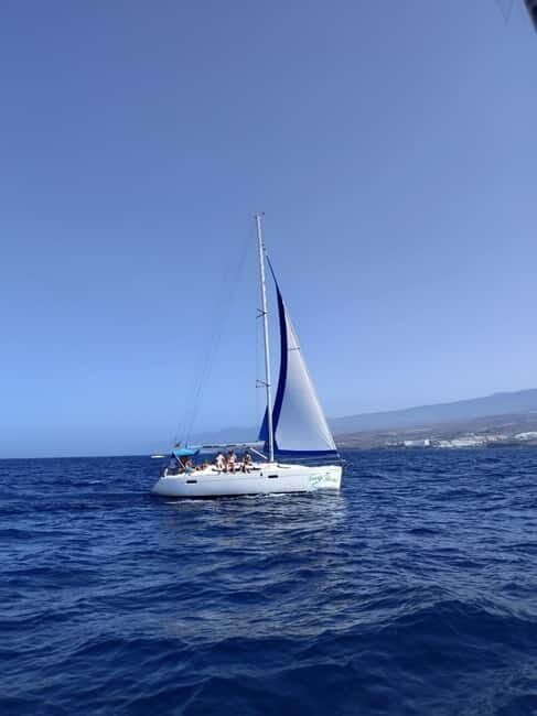 3h Whale watching Share Tour Costa Adeje Lina7 Mizendoha - Pricing and Value