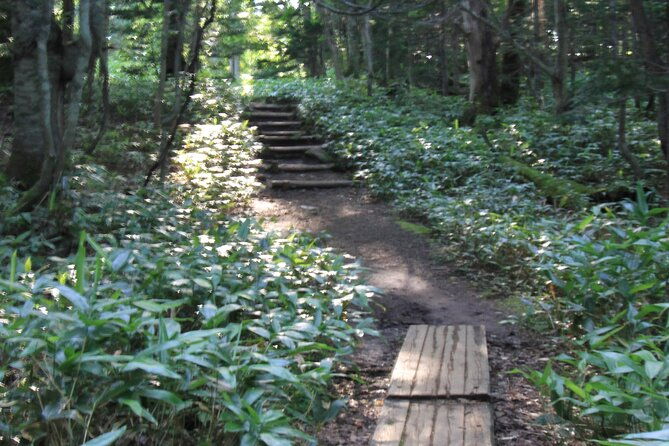3hours-nature-guided-tour-in-shiretoko-five-lakes