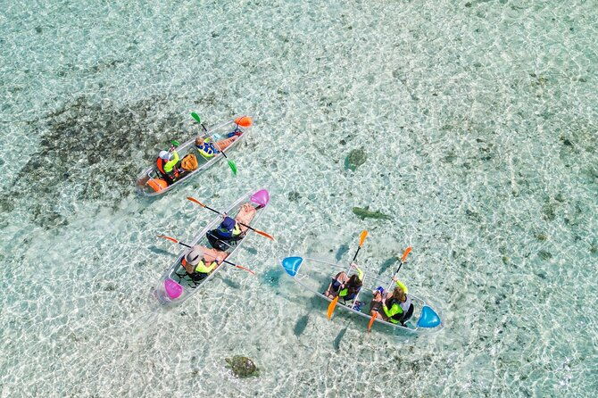 3hr-clear-kayak-mangrove-and-iguana-island-tour-in-leeward