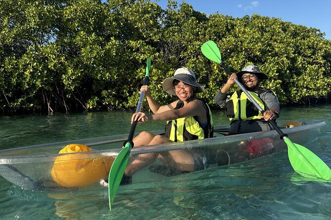 3hr-clear-kayak-tour-of-mangroves-marine-life-and-iguanas