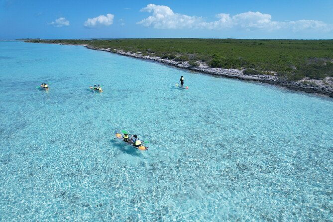 3hr-clear-kayak-tour-of-mangroves-marine-life-and-iguanas