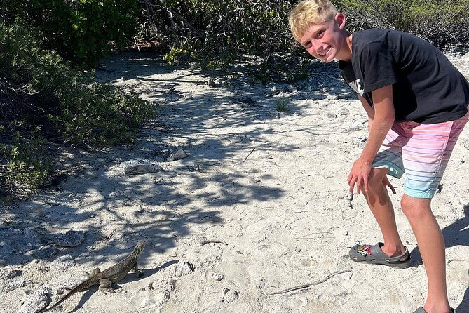 3hr-clear-kayak-tour-of-mangroves-marine-life-and-iguanas