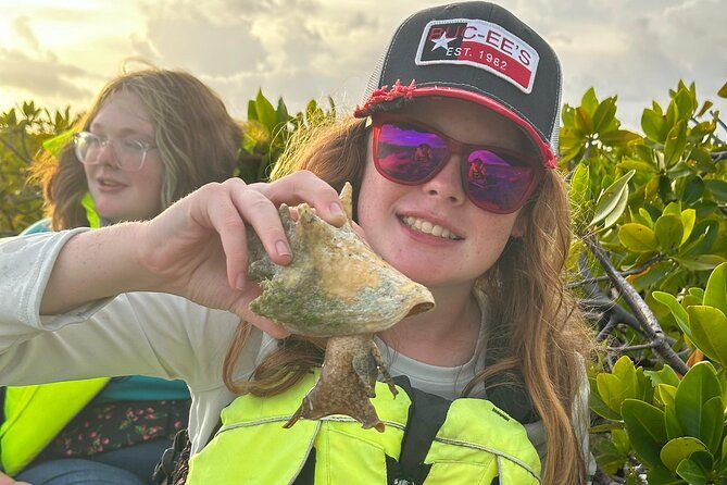 3hr-clear-kayak-tour-of-mangroves-marine-life-and-iguanas
