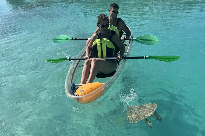 3hr-clear-kayak-tour-of-mangroves-marine-life-and-iguanas
