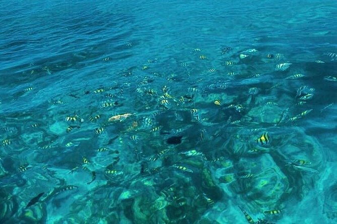 3hr-full-island-life-jetski-tour
