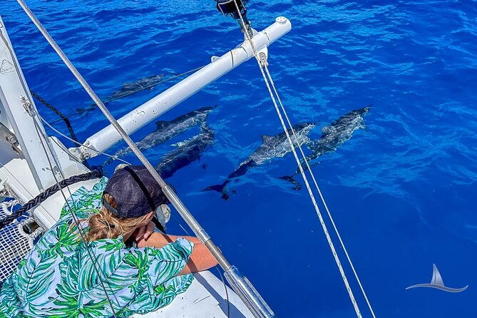 3hr-luxury-private-sailing-catamaran-in-waikiki-for-1-to-6-people