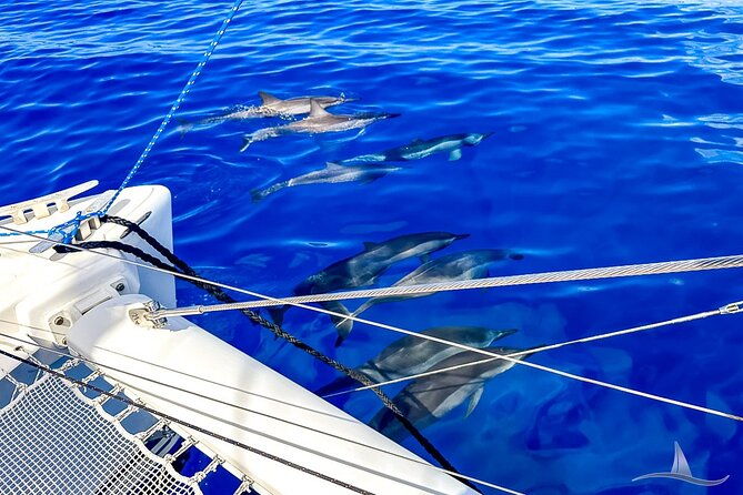 3hr-luxury-private-sailing-catamaran-in-waikiki-for-1-to-6-people