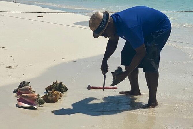 3hr-seaside-scavenger-hunt-hunt-for-conch-and-make-ceviche