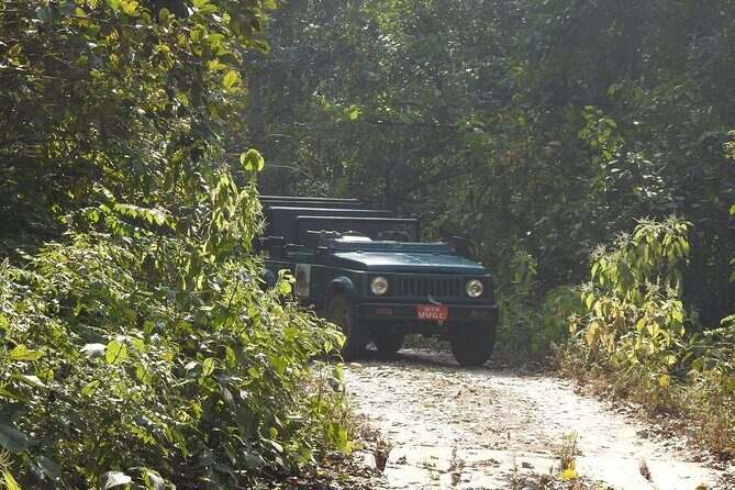 3Nights 4Days Bardiya Tiger Tracking Tour on Foot - All Inclusive - Exploring the Itinerary in Detail