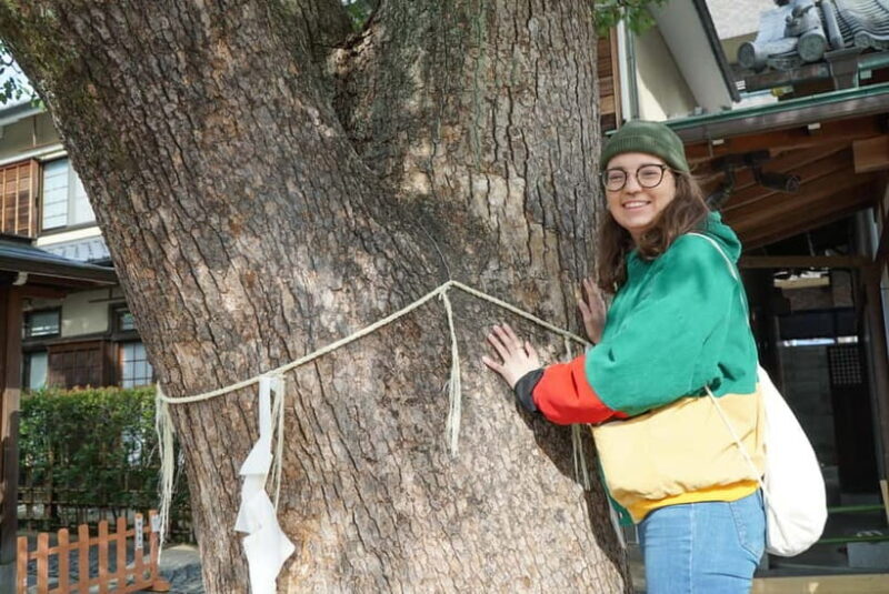4.5-hr Kyoto Historical Highlights Bike Tour with UNESCO - Who Would Love This Tour?