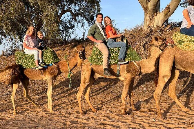 4 Activities in 1 pack :Camelriding/Boat trip/Quad/Massage-Hammam - Authentic Insights from Reviewers  
