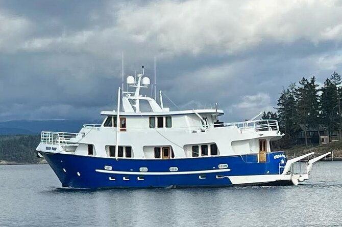 4-course-dinner-cruise-plus-eco-tour-on-luxury-yacht-in-sitka