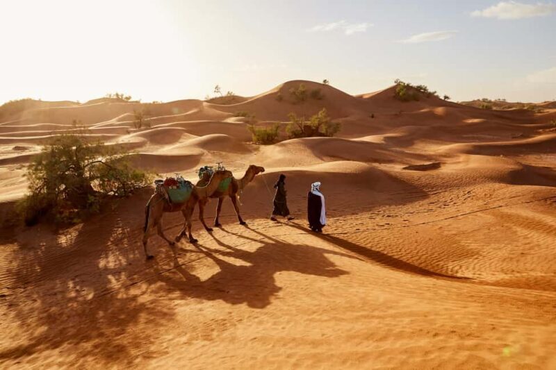 4 Day Adventure from Marrakech to Erg Chegaga in the Sahara - Exploring the Itinerary: What You’ll Experience