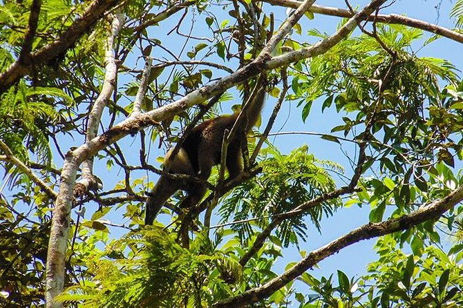 4-day-adventure-in-tortuguero-national-park