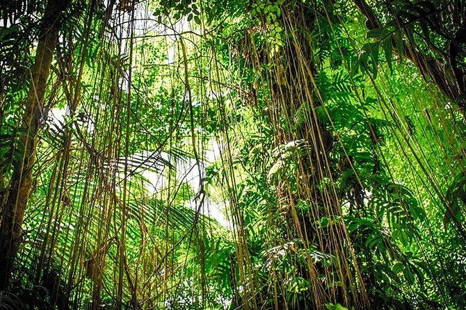 4-day-adventure-in-tortuguero-national-park