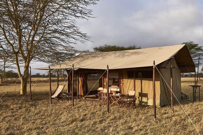 4 Day Adventure Lake Manyara , Serengeti & Ngorongoro - Discover the 4-Day Adventure: Lake Manyara, Serengeti & Ngorongoro