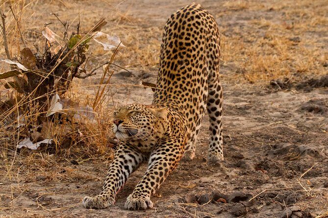 4 Day Adventure Lake Manyara , Serengeti & Ngorongoro - Summary of the Experience