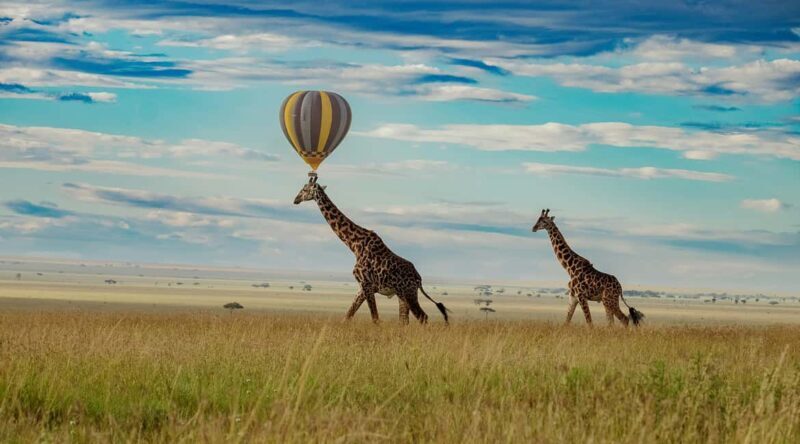 4-Day Adventure to Arusha NP, Serengeti & Ngorongoro Crater - Key Points