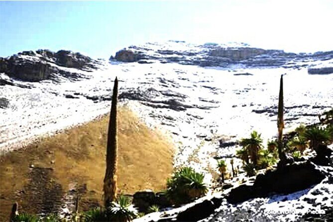 4 Day Adventure Tour in Simien Mountains - Practical Details and What to Expect