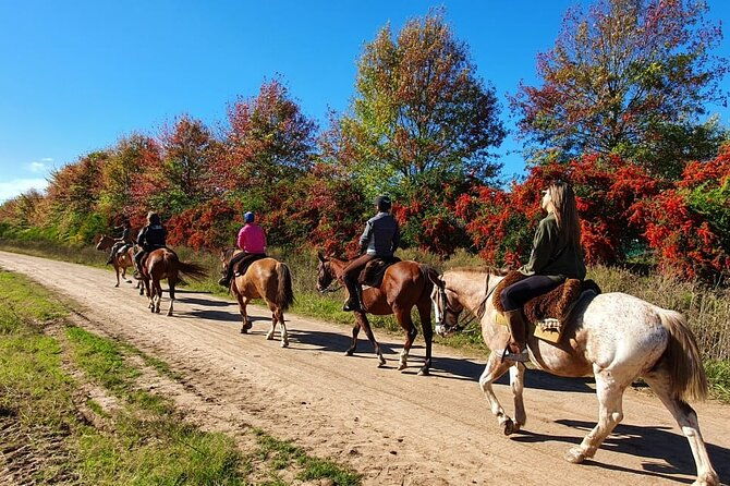 4-day-adventure-trip-in-buenos-aires